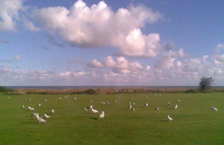 Winterton Chalets