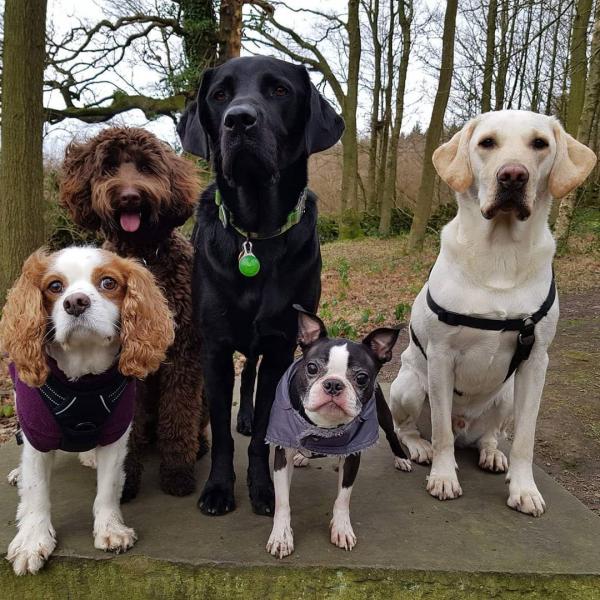 Bob and Pals