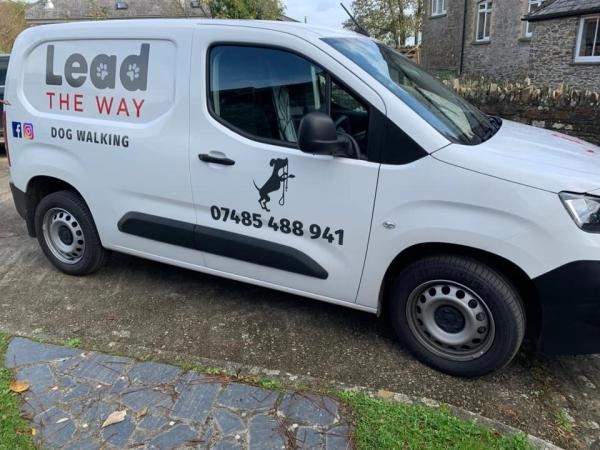 Lead the way dog walking sales