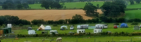Camping at Cardewlees