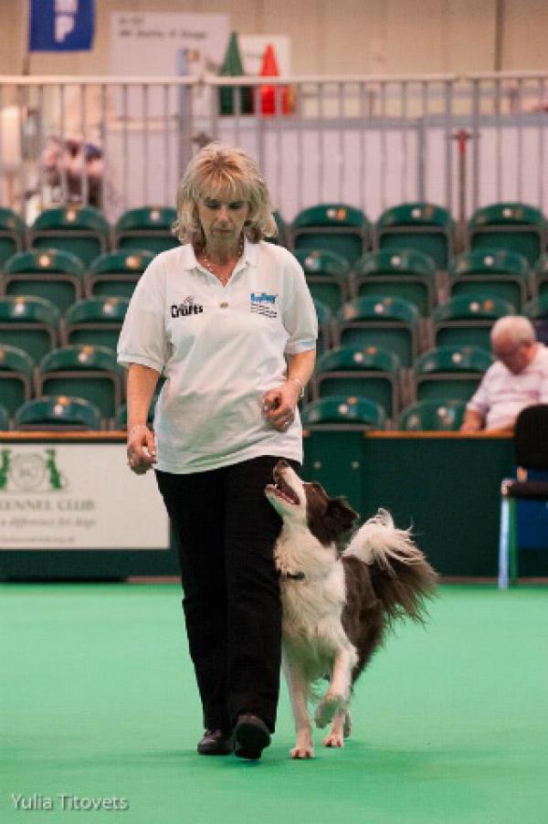 St Edward's Dog Training Club