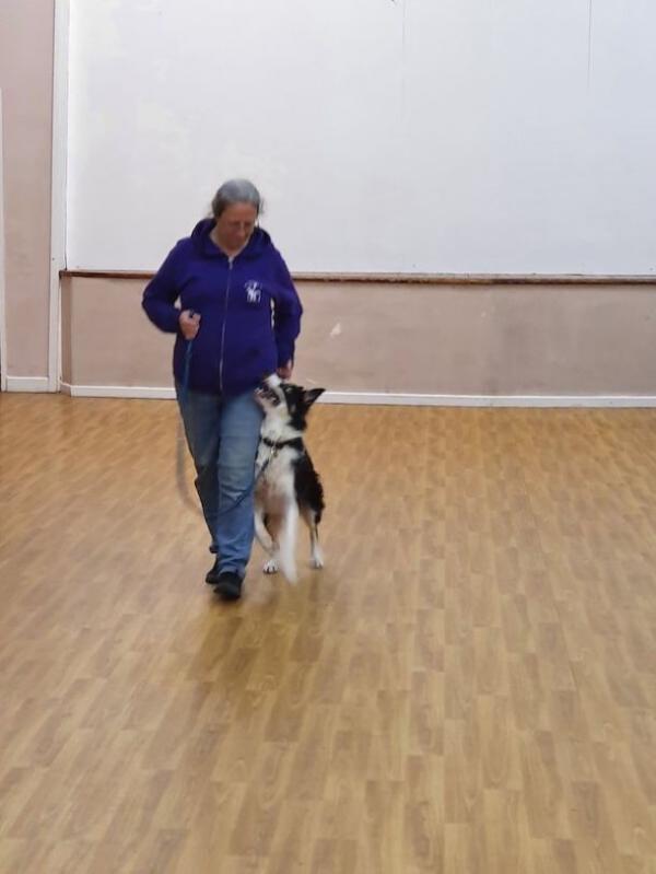 St Edward's Dog Training Club