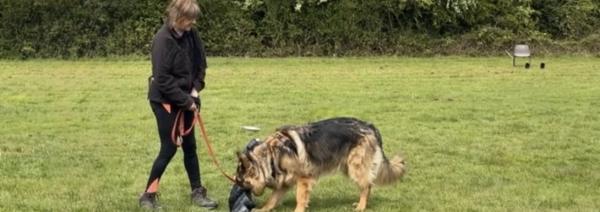 Ruth Munday Dog Training