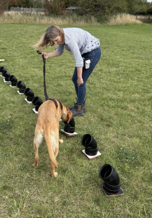 Ruth Munday Dog Training