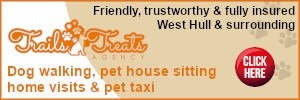 places to visit with dogs north west