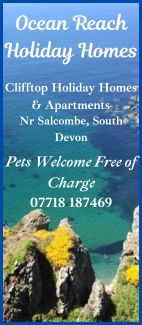 cornwall places to visit with dogs