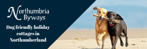 Dog Friendly Pubs, Bars, Cafes And Restaurants in West Sussex