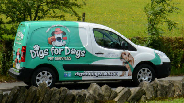 Digs for Dogs