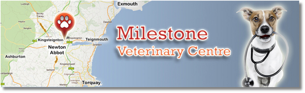 Milestone Veterinary Centre