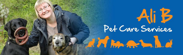 Ali B Pet Care Services in Norwich, Norfolk Dog Walkers