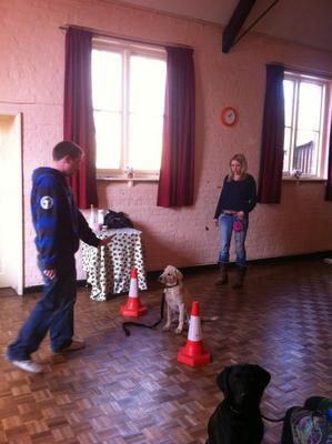 Dog behaviourist in Sevenoaks, Kent