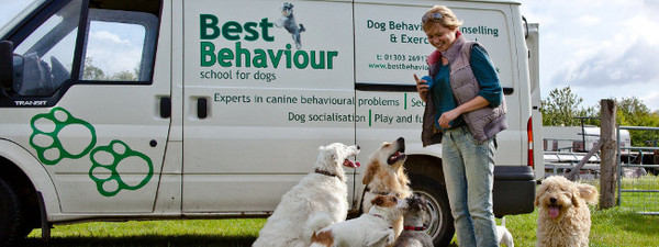 Best Behaviour School for Dogs in Sevenoaks, Kent Dog