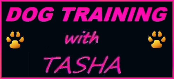 Dog Training with Tasha - Dog trainer in Brighton, East Sussex