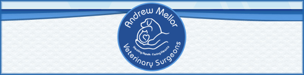 Andrew Mellor Veterinary Surgeons