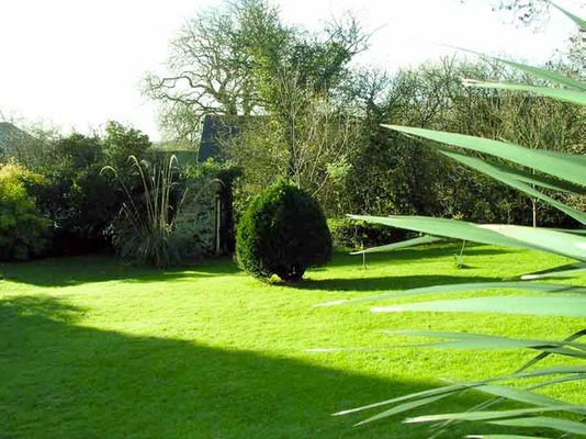 Dog Friendly Accommodation in Wales