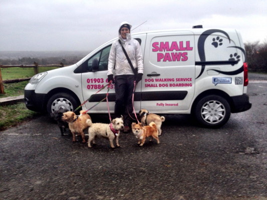 Small Paws Dog Walker in Worthing, West Sussex