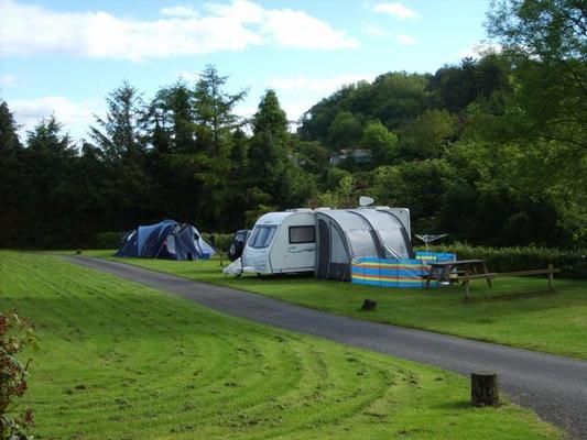 Dog Friendly Camp site in Devon