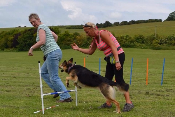 Dog Training with Tasha in Brighton, East Sussex