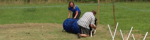 Dog Trainer in Immingham