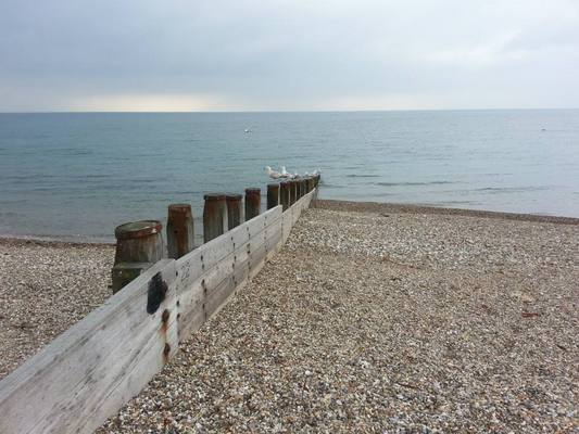 Dog friendly beach in West Sussex
