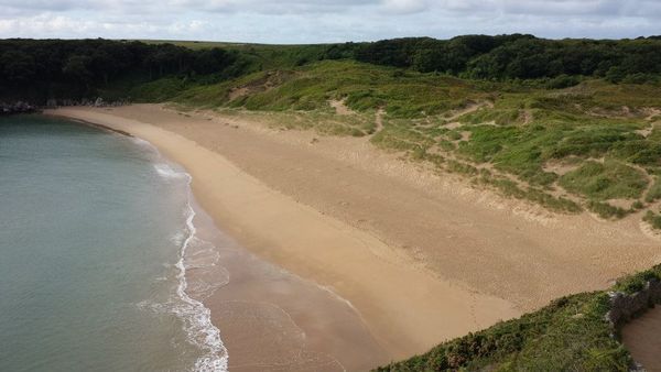 Dog Friendly Beach in Stackpole