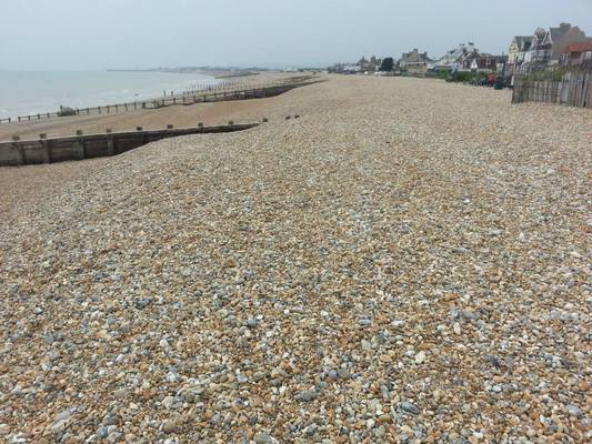 Dog Friendly Beach in East Sussex