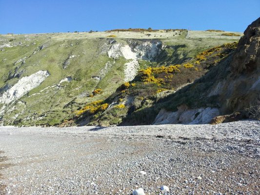 Dog Friendly Beach in Dorset