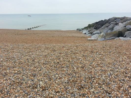 Dog Friendly Beach in East Sussex