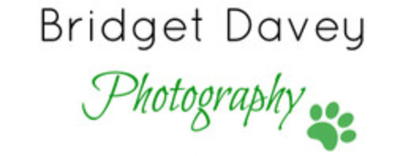 Bridget Davey Photography