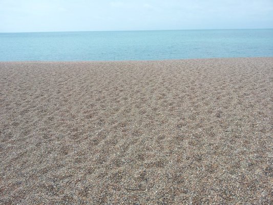Dog Friendly Beach in Dorset