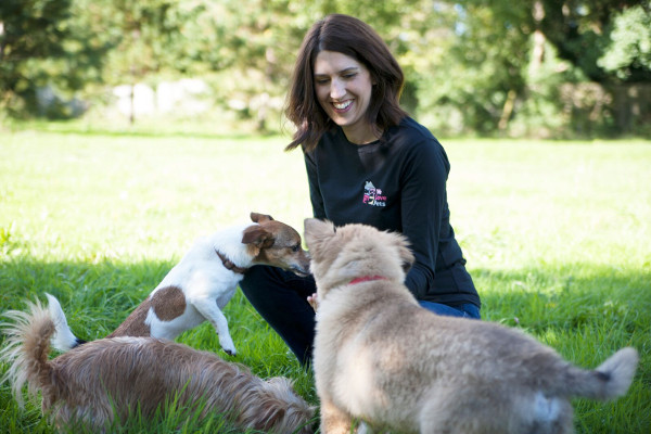 We Love Pets Farnham in Farnham, Surrey Dog Walkers