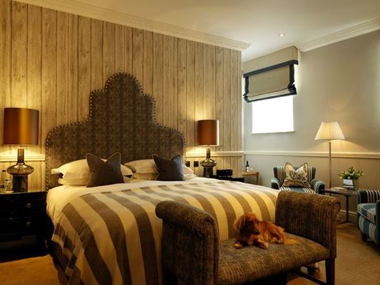 Dog Friendly hotels in Pontefract