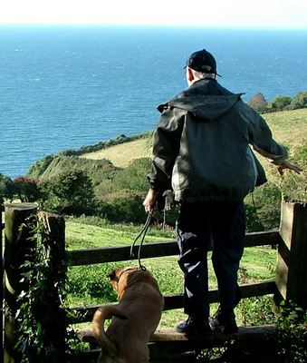 Dog Friendly Accommodation in Sidmouth