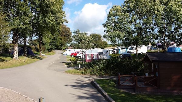 Dog Friendly Camp site in Devon