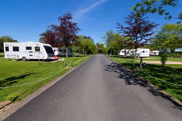 Dog Friendly Camp site in Sidmouth