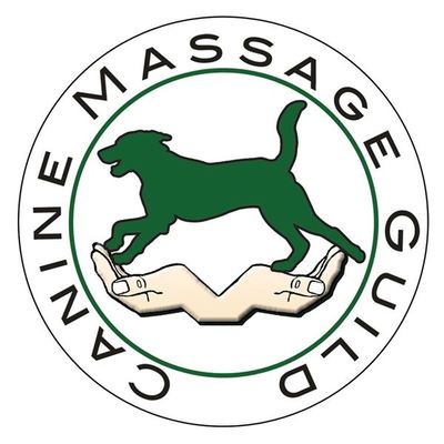 Paws & Restore Clinical Canine Massage