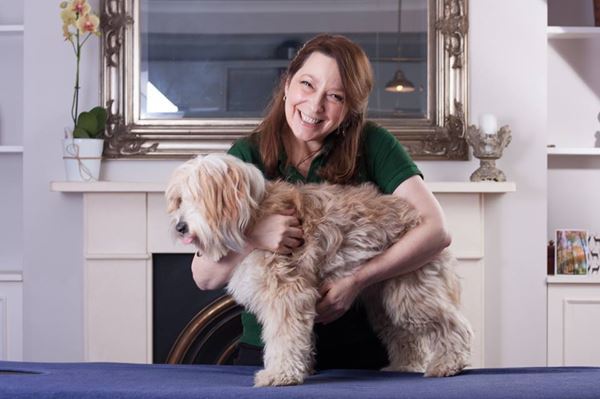 Canine massage therapy in Twickenham