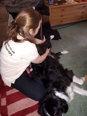 canine massage therapy