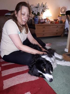 canine massage therapist