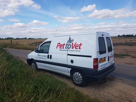 Pet To Vet Ltd