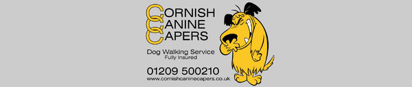 Cornish Canine Capers