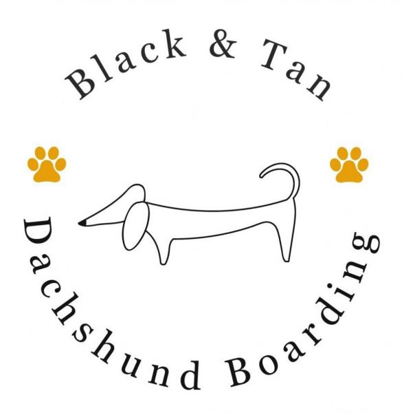 Black & Tan Dachshund Boarding