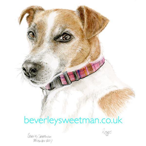 Beverley Sweetman - Artist