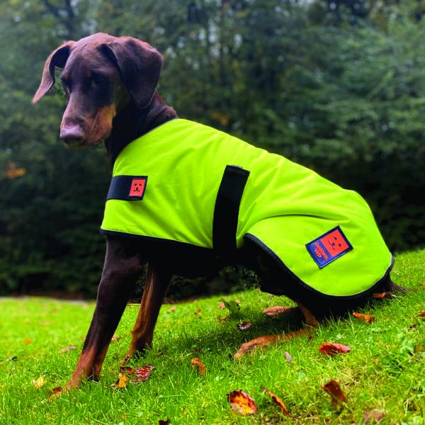 Waterproof, warm dog coat hivis by Ginger Ted
