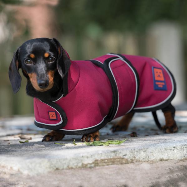 Dachshund waterproof dog coat by Ginger ted