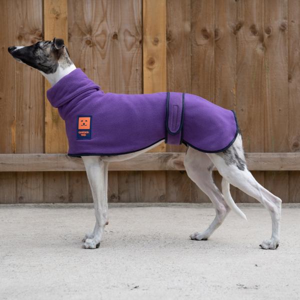 Cosy fleece greyhound jumper for sighthounds by Ginger Ted