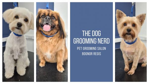 The Dog Grooming Nerd