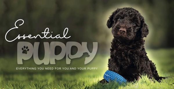 Essential Puppy Ltd