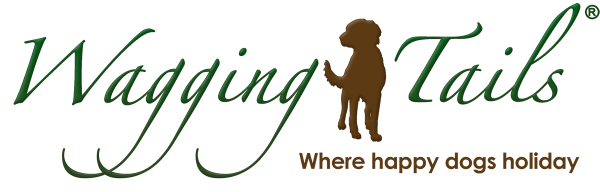 Wagging Tails - Franchise