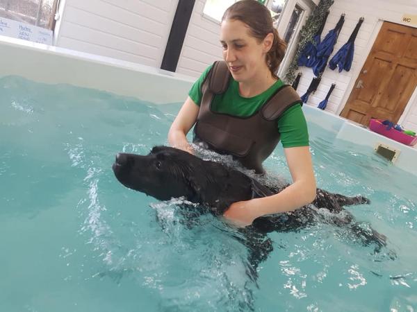 Crossways Kennels, Cattery & Hydrotherapy Centre